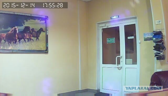 За что я люблю китайцев