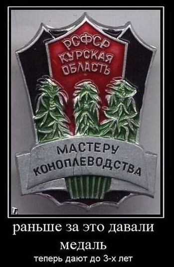 Подборка картинок