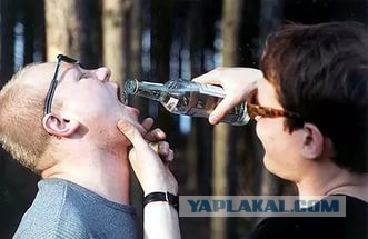 Опять Лев который против