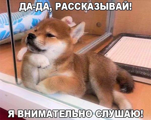 Подборка картинок на среду