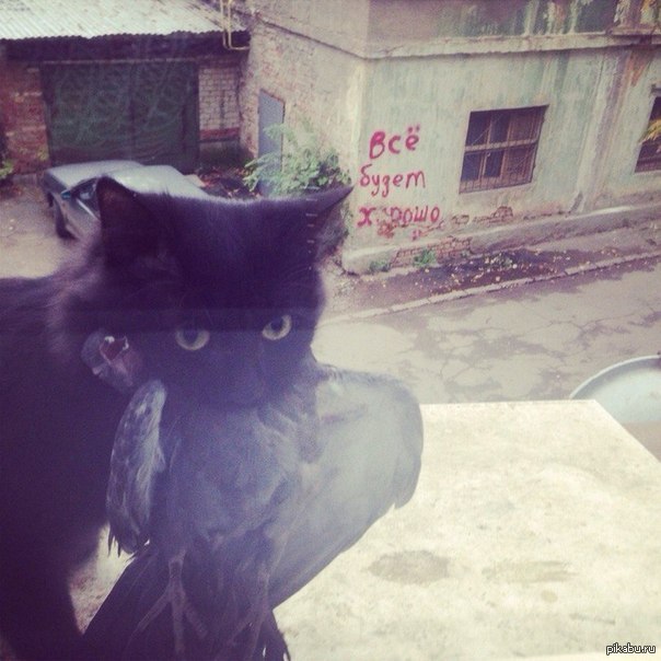 Когда день не задался