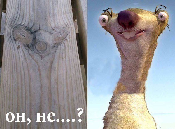 Подборка интересных и веселых картинок