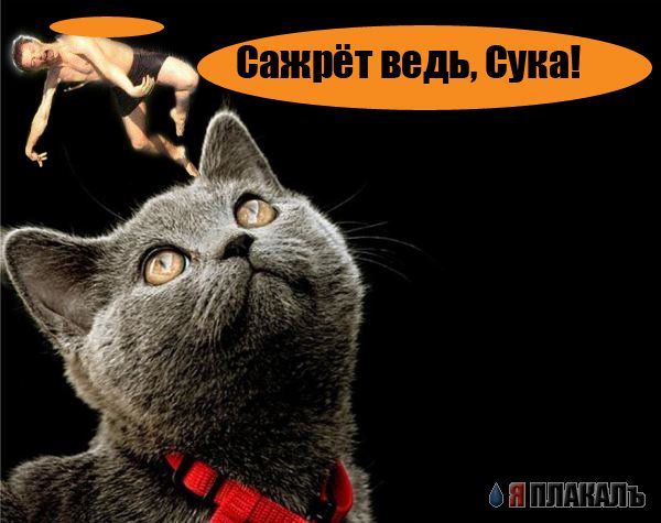 Фотожаба: Перед купанием