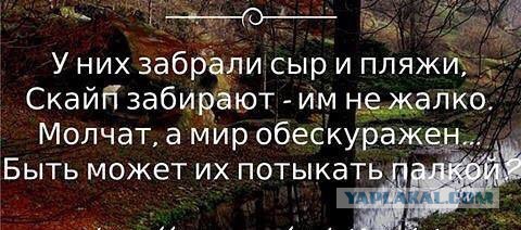 Нытики