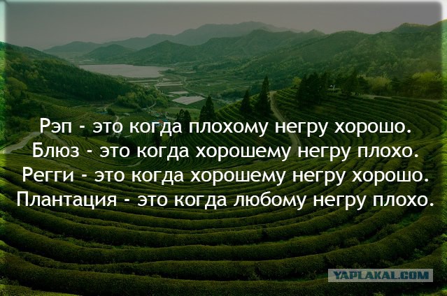 Шуточки от весёлого повара