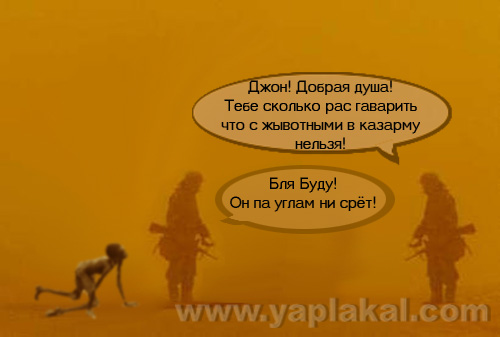Фотожаба: Буря в Пустыне