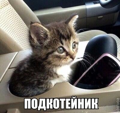 Картинки и гифки с юмором в честь дня малинового варенья