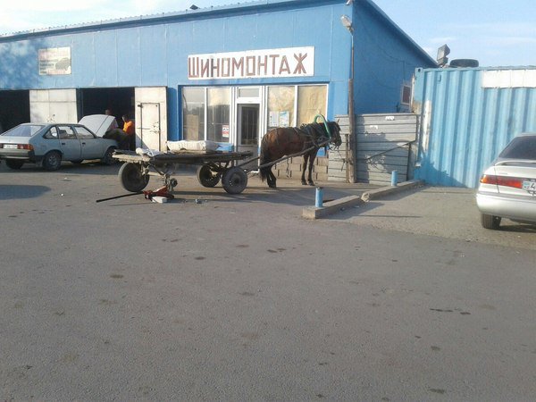 Подборка самых смищных картинков из интернетов