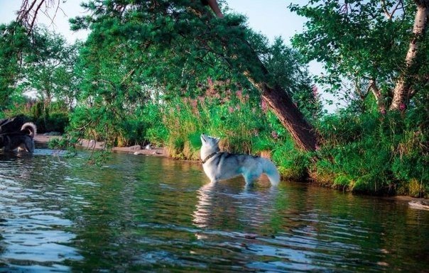 Подборка разного из сети