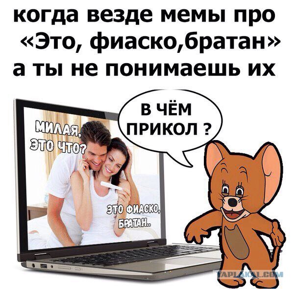 Прикольные картинки