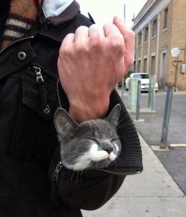 Просто солянка из картинок.