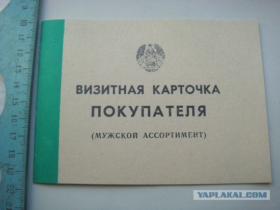 Жорес Алфёров: «Если бы не 90-е годы, айфоны сейчас выпускали бы у нас»