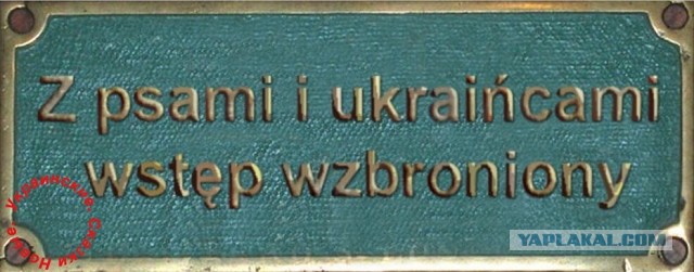 Кто виноват в войне на Донбассе? Опросы в городах Украины