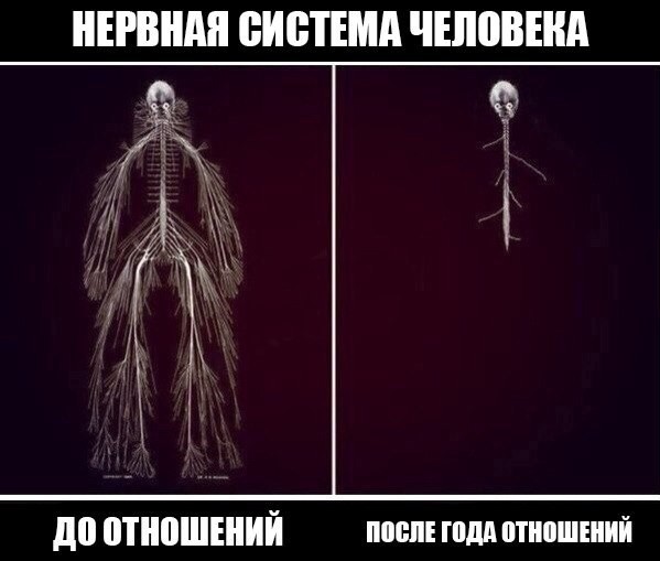 Принцип сосиски