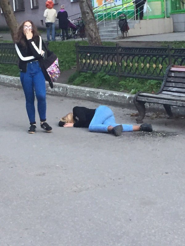 Скотсети и прочие интернеты 19.11.18