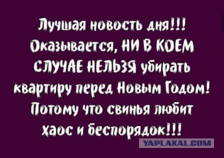 Немного картинок в этот тяжёлый день