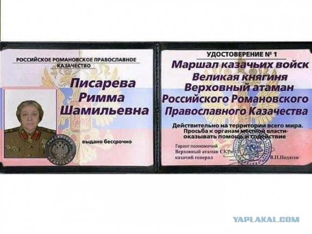 Российскую пенсионерку задержали по пути из аптеки за нарушение самоизоляции