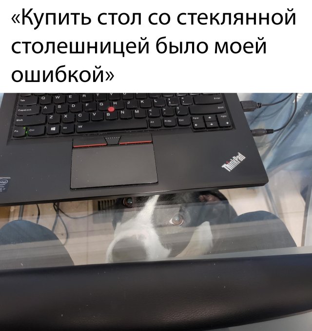 Прикольные картинки 21.04.2020