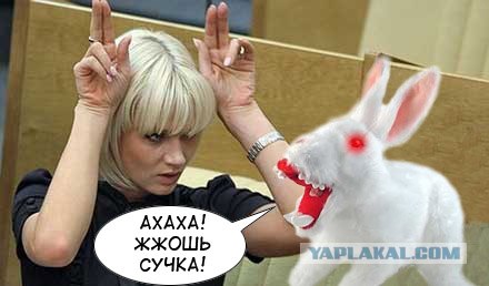 Фотожаба: Кролик