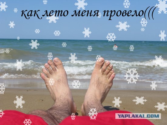 Фотожаба: Как я провел лето