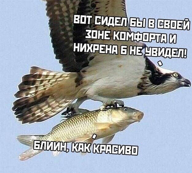 Юмор в картинках 29.07.20