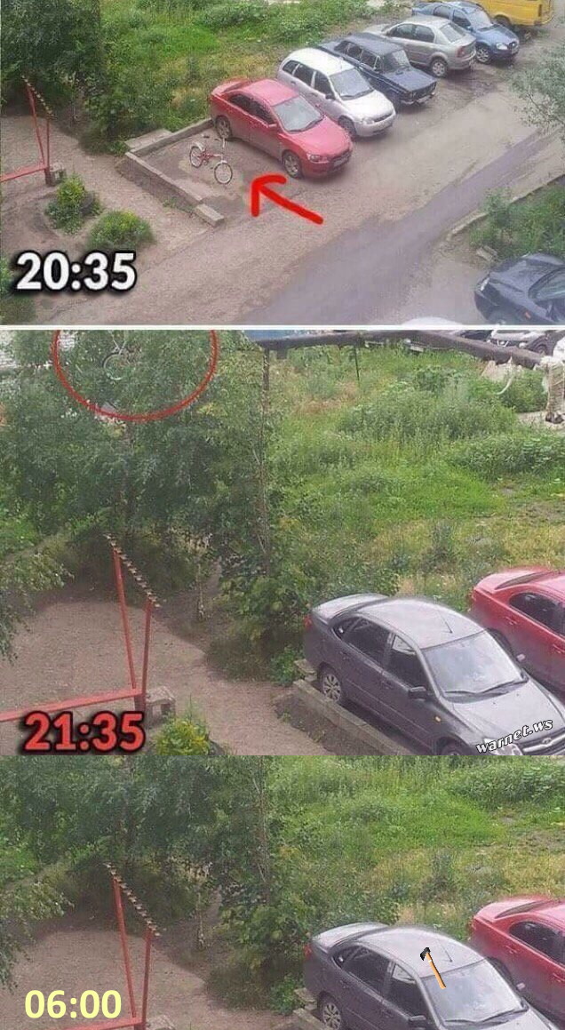 Фотки и картинки: юморные и красивые, забавные и милые 23.09.20