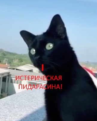 Любопытная Варвара))
