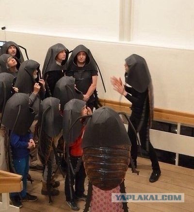 Фото из разряда "шо здесь происходит"?