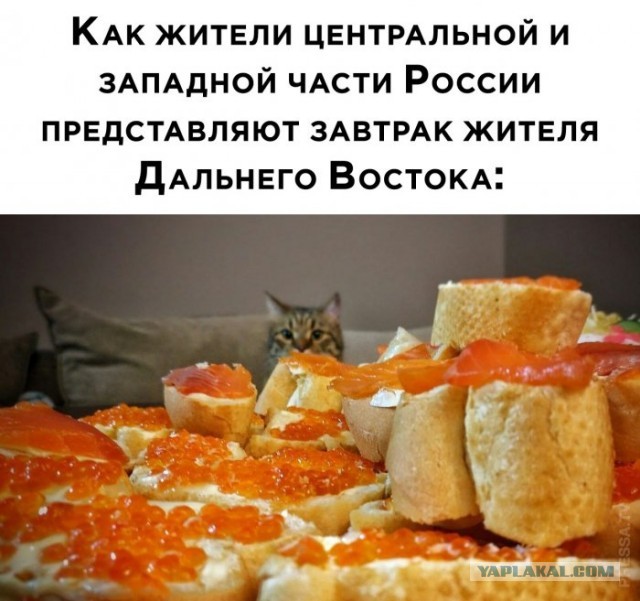 Картинки и мемы для настроения 020