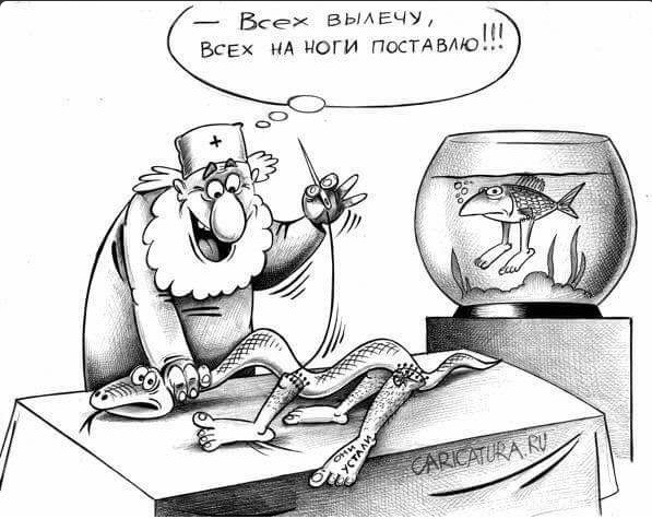 Чернушка и не только...