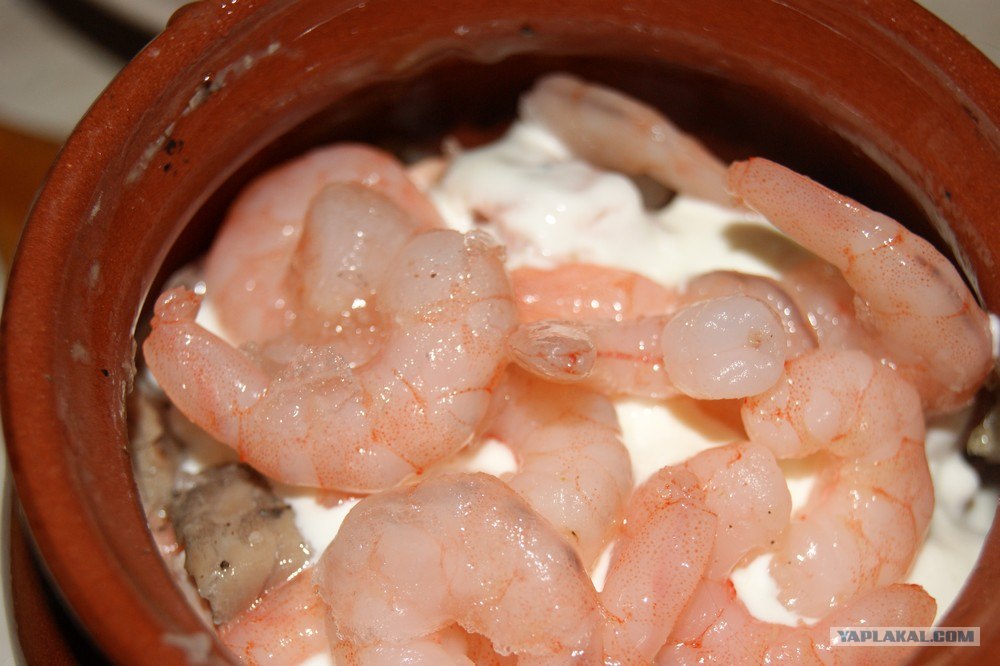 креветки в горшочке. креветки в горшочках. каридеш гювеч. запеканка в горшочках. турецкое блюдо в горшочке.