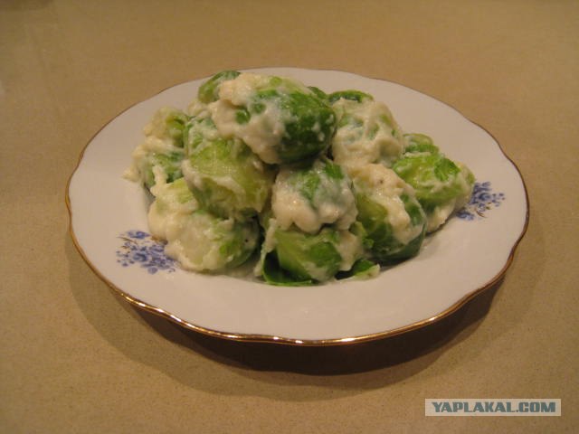 Капуста International, Наступила осень, отцвела капуста...