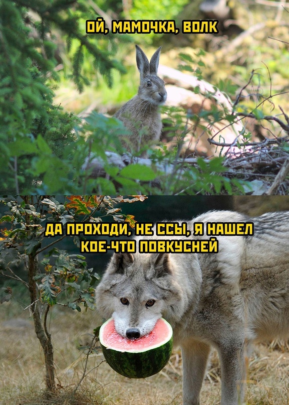 Весёлый полтишок 2.07