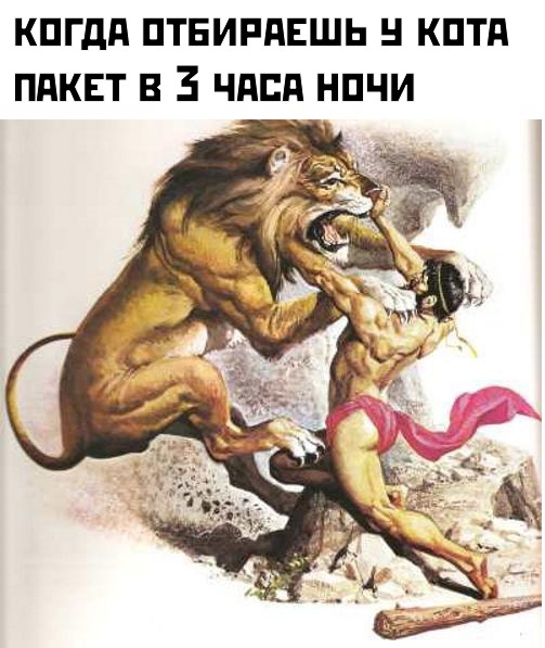 Весёлый полтишок 12.07
