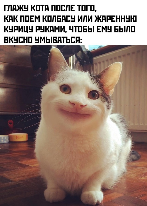 Весёлый полтишок 10.08