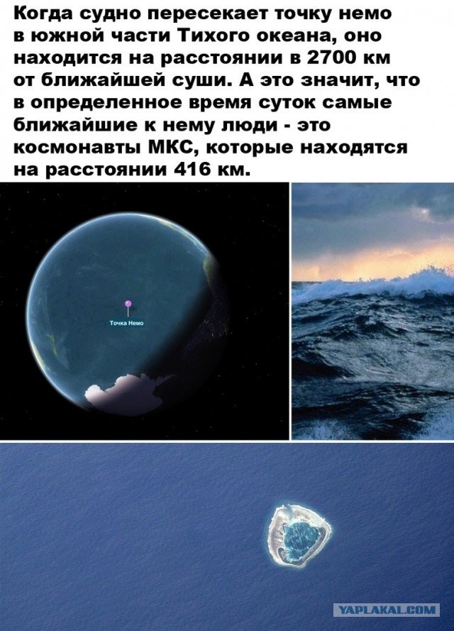 Так себе картинки 22.11.21