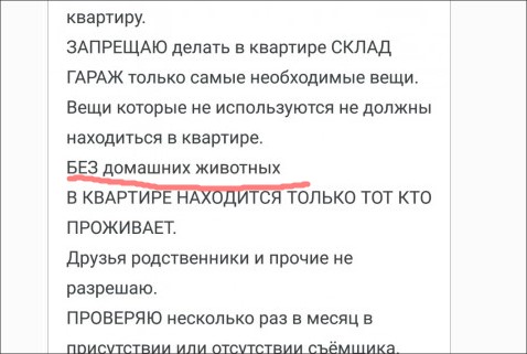 Наткнулся на очередного квартиросдатчика. Видимо не судьба!