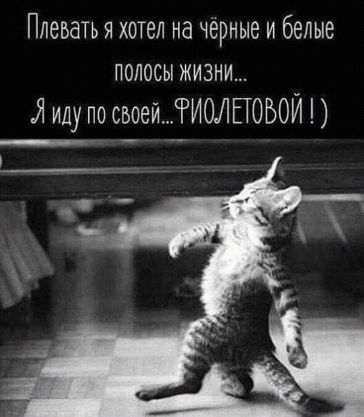 Баянисто-небаянистый юмор 4.03.22