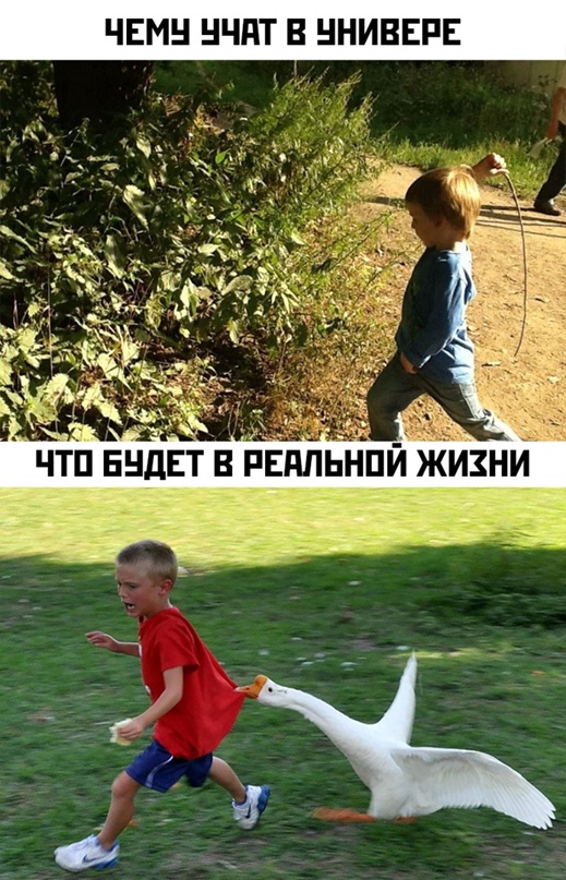 Весёлый полтишок 14.04.22