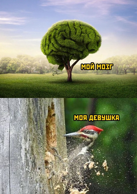 Картинки и мемы для настроения - 21