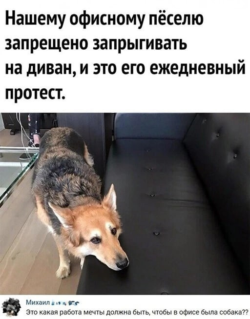Картинки и мемы для настроения - 15