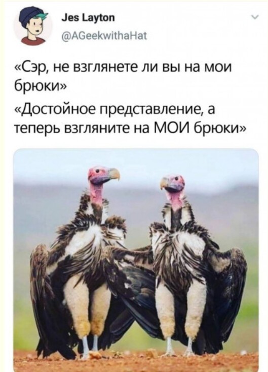 Баянисто-небаянистый юмор 18.08.22