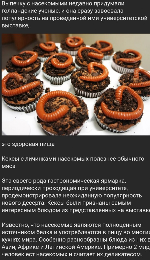 Немного картинок для настроения - 123