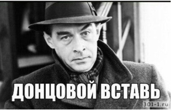 В элитках тоже неспокойно