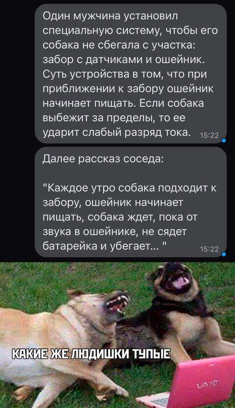 Картинки и мемы для настроения - 133