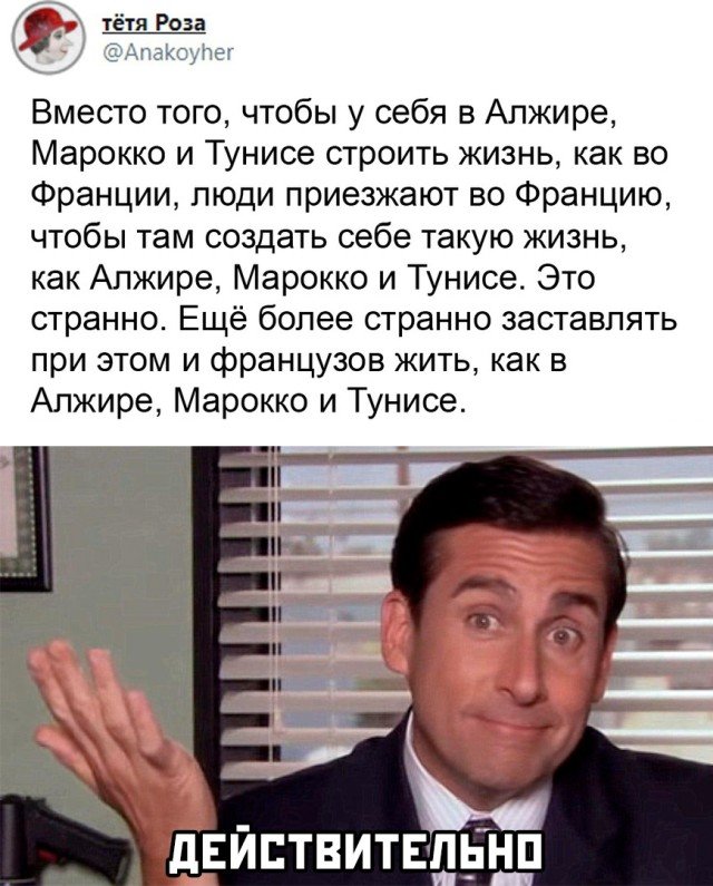 Картинки и мемы для настроения - 137