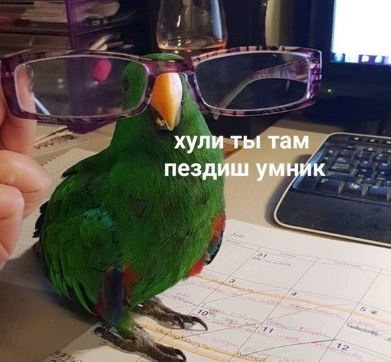 Всего понемногу. Пятничный выпуск