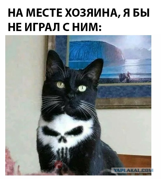 Ангел и Демон