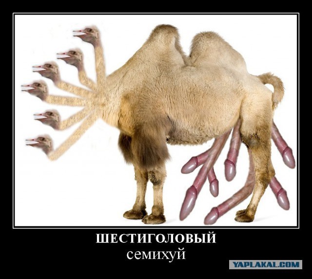 Все мы немного Кики... к концу недели