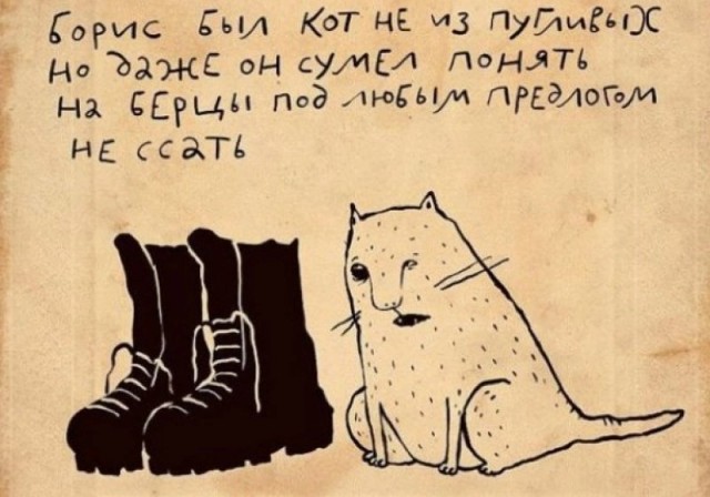 Почему кошка спит с человеком: 3 основные причины и важные моменты, о которых следует знать